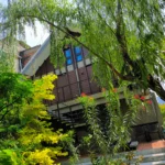 Slotici_na_cestach_Bangkok_u Sani_1