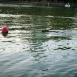 Slotici_na_cestach_Bangkok_Lumphini park_2
