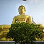 Slotici_na_cestach_Bangkok_Wat Paknam Phasi Charoen